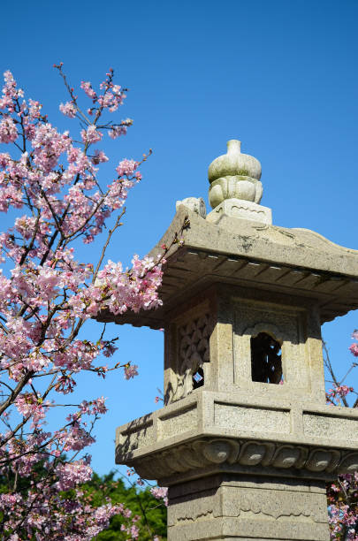 istock Landscape with stone lanterns and cherry blossoms 941794034