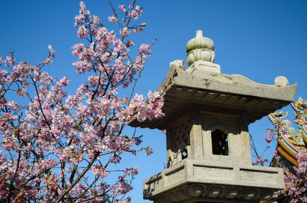 istock Landscape with stone lanterns and cherry blossoms 941794118