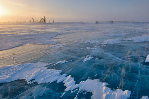 tundra - vibrant color forest ice snow - fotografias e filmes do acervo