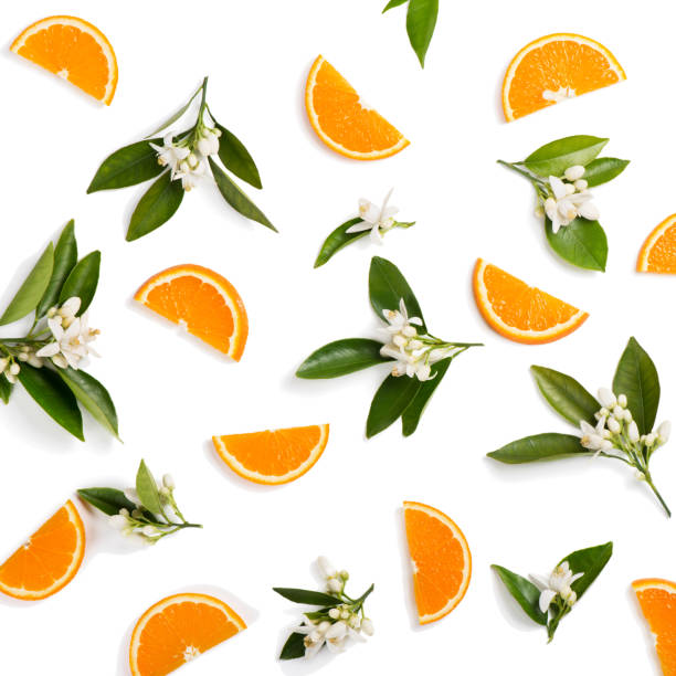 Orange fruit and flovers, above view. Top view of blossoming branches of orange tree with leaves and sliced orange fruit, isolated on white background. orange flowers stock pictures, royalty-free photos & images