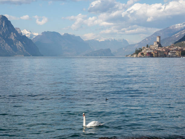 istock garda lake beach in malcesine 941803820
