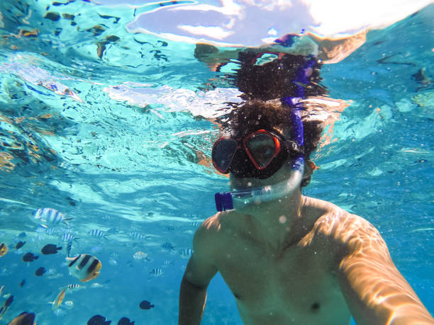 istock Bora Bora, French Polynesia. Snorkeling in turquoise waters. 941804184