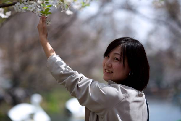 istock Young woman enjoying cherry blossoms 941812594