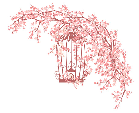 open cage with a small bird among blooming sakura - spring season vector design (easily editable branches and cage)