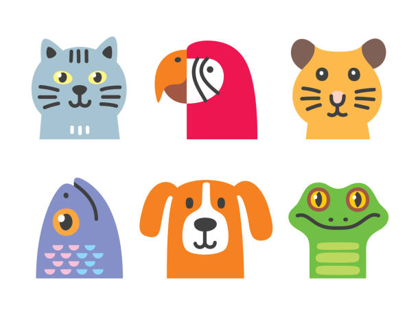 ilustraciones, imágenes clip art, dibujos animados e iconos de stock de colección de mascotas - felino salvaje