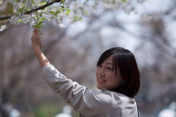 istock Young woman enjoying cherry blossoms 941830684