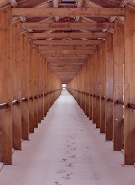 istock wooden tunnel on the bridge, winter 941842136