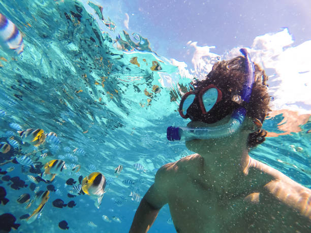 istock Bora Bora, French Polynesia. Snorkeling in turquoise waters. 941846172
