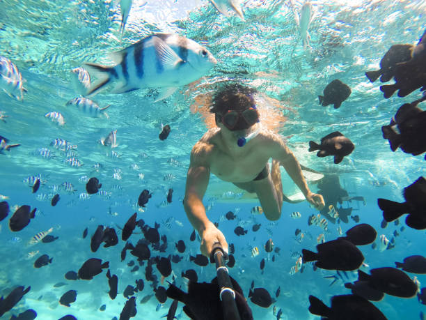 istock Bora Bora, French Polynesia. Snorkeling in turquoise waters. 941846636