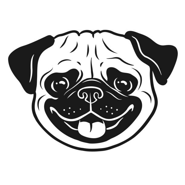 Pug dog black and white hand drawn cartoon portrait. Funny happy smiling pug face. Dogs, pets themed design element, icon, logo. Pug dog black and white hand drawn cartoon portrait. Funny happy smiling pug face. Dogs, pets themed design element, icon, logo. fat humor black expressing positivity stock illustrations