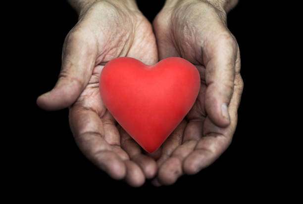 Red heart in senior hands over black background