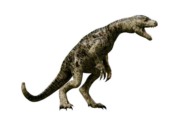 3D rendering of a dinosaur Tyrannosaurus hatchling isolated on white background