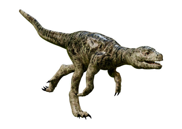 istock 3D rendering dinosaur Tyrannosaurus hatchling on white 941858658