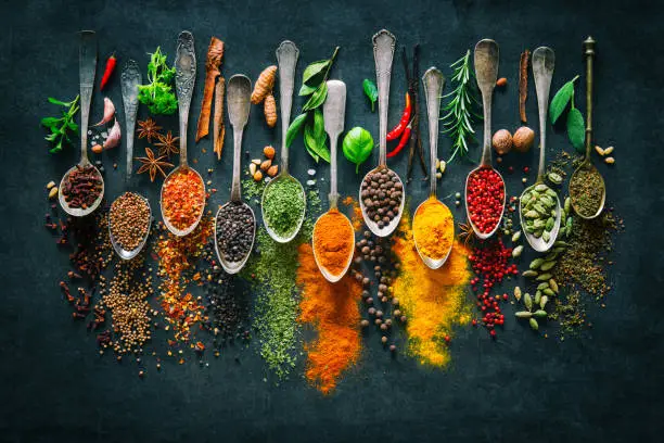 Photo of Herbs and spices for cooking on dark background
