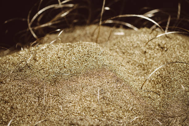 Golden shavings from CNC milling