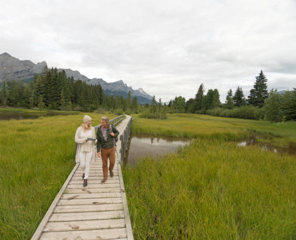 istock Couple walk along boardwalk over marsh. 941866600