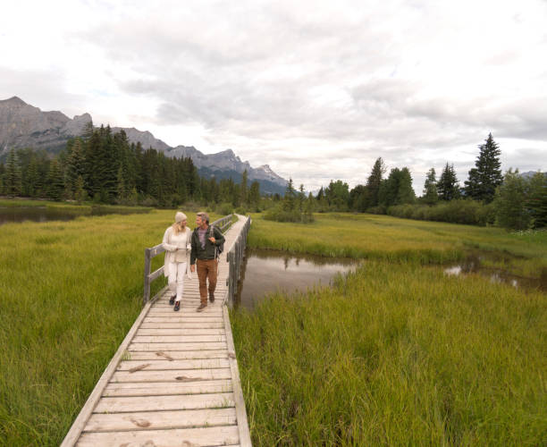 istock Couple walk along boardwalk over marsh. 941866712