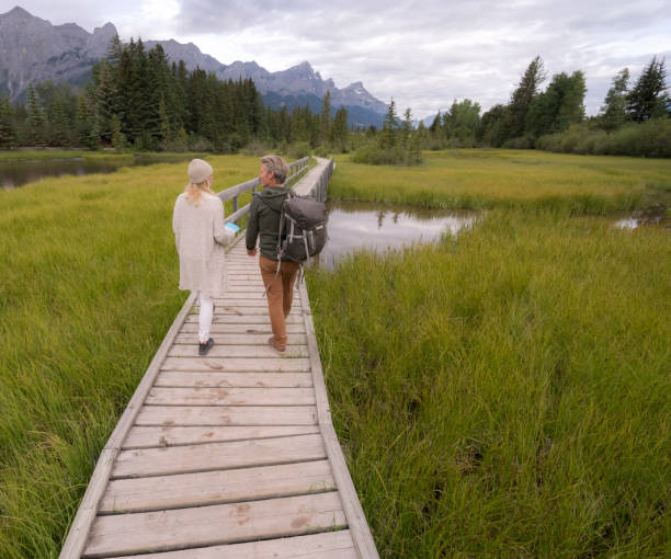 istock Couple walk along boardwalk over marsh. 941866754