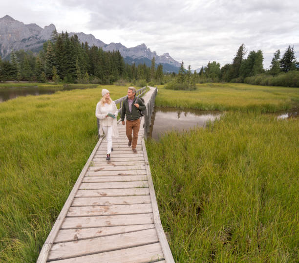 istock Couple walk along boardwalk over marsh. 941866822