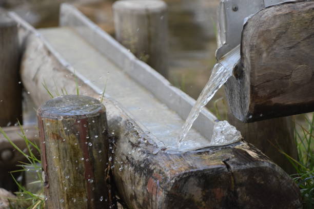 istock Trough of water 941867446