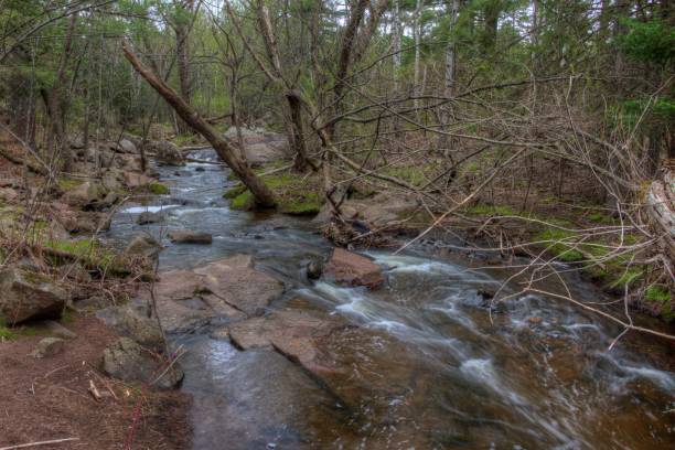istock Congdon is Park in Duluth, Minnesota 941875090