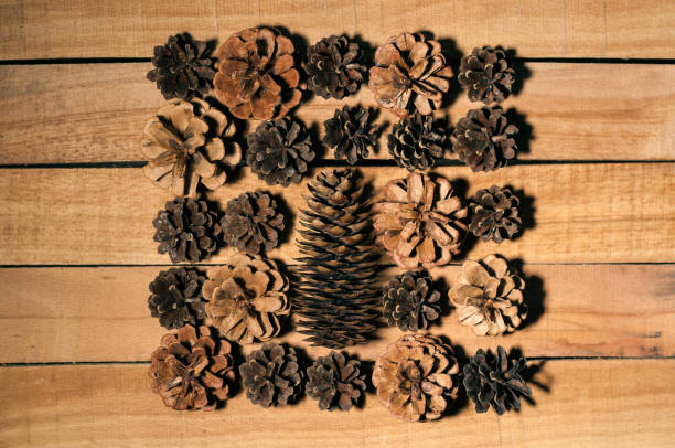 istock a bunch of cones on a wooden Board 941879924