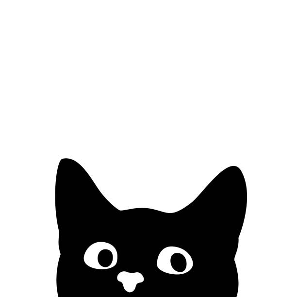 호기심이 고양이입니다. 차 또는 냉장고에 스티커 - 흑백 일러스트 stock illustrations