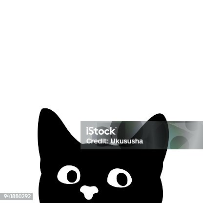 27,000+ Black And White Cat Stock Photos, Pictures & Royalty-Free Images -  Istock | Black And White Cat Isolated, Black And White Cat Illustration,  Black And White Cat Sitting