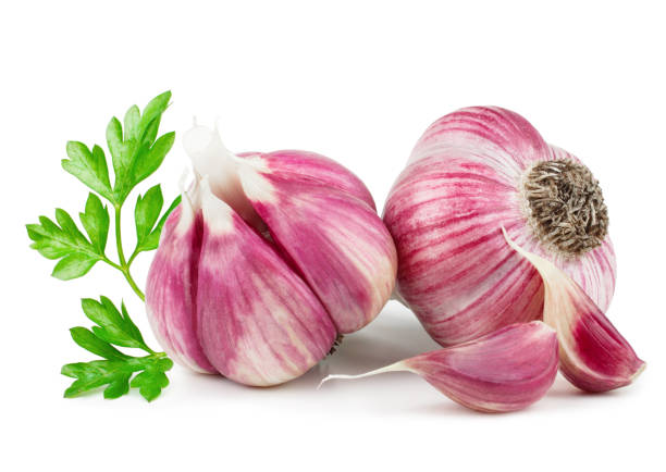 Fresh young garlic with parsley isolated on white background