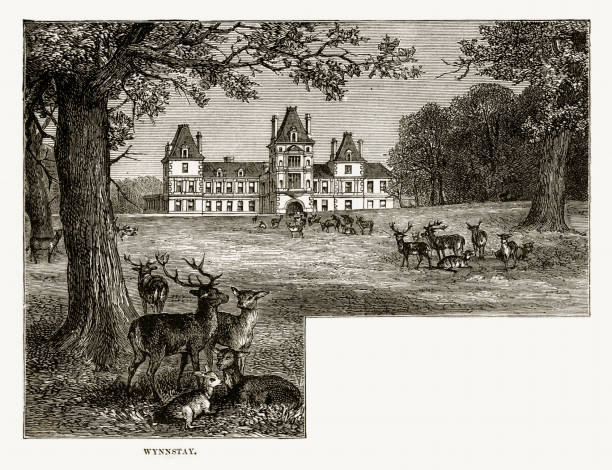 ilustraciones, imágenes clip art, dibujos animados e iconos de stock de wynnstay house y park, wrexham, gales grabado victoriano, circa 1840 - wrexham