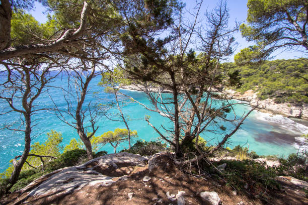 istock Panorama view of Cala Mitjana, Menorca, Spain 941896208