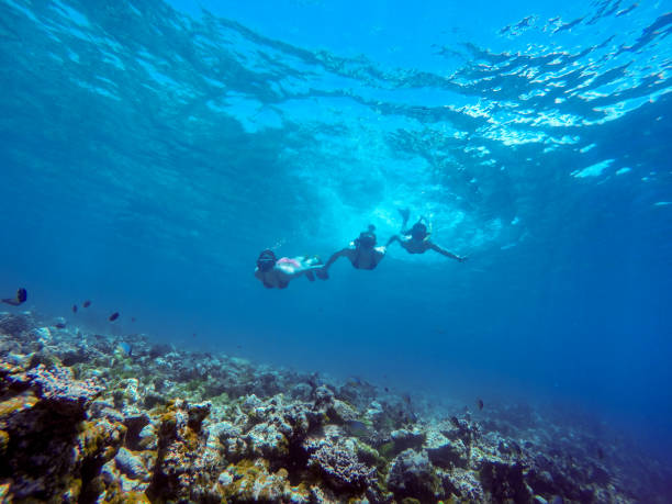 istock Three Young Women Friends Snorkeling Together 941896278