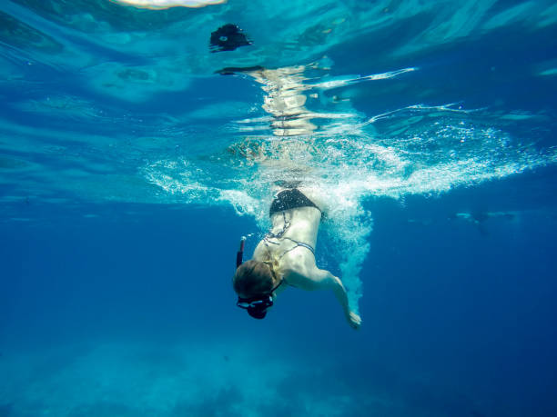 istock Young Woman Snorkeling Under Water 941896302