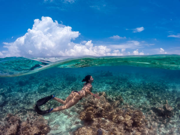 istock Young Woman Snorkeling in Ocean 941896350