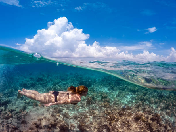 istock Young Woman Snorkeling in Ocean 941896360