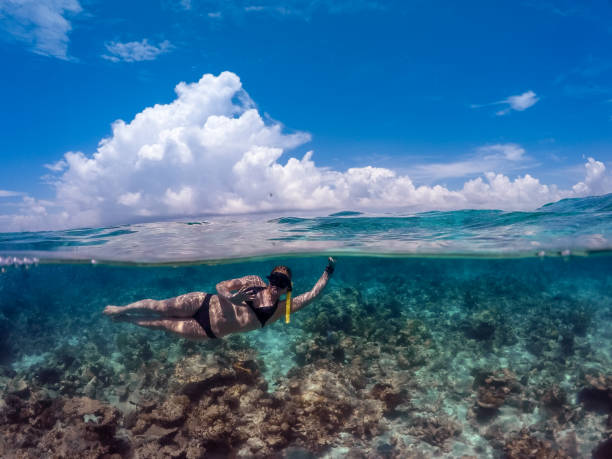 istock Young Woman Snorkeling in Ocean 941896364