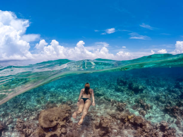 istock Young Woman Snorkeling in Ocean 941896382