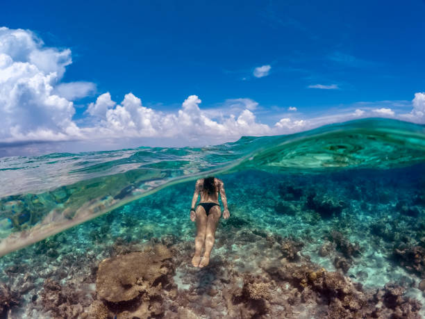 istock Young Woman Snorkeling in Ocean 941896384