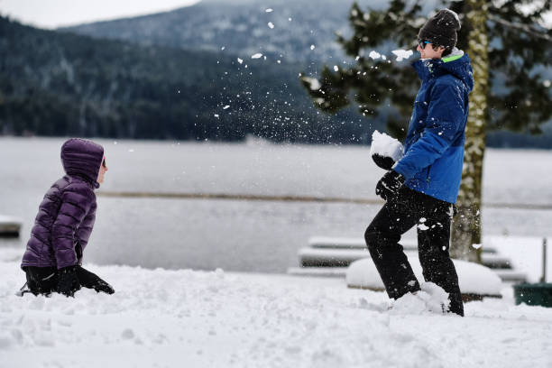 istock Brother and Sister Playing in the Snow 941899600