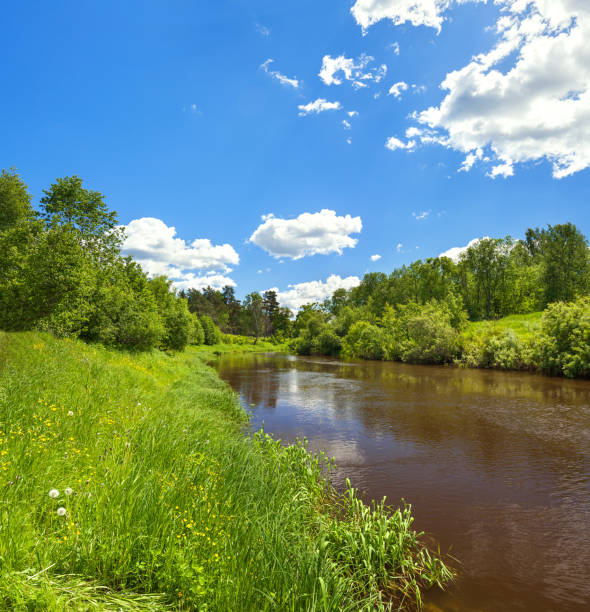 istock rural summer landscape with forest, river, blue sky and white clouds 941909318