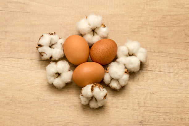 istock raw chicken eggs and cotton inflorescences on a wooden background 941910472