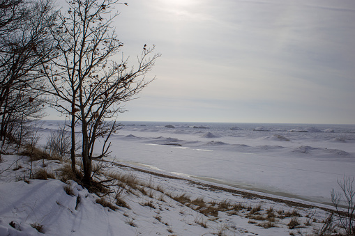 Snowy beach scene with frozen waves and branches