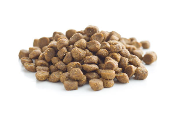 istock Dried food for animals 941926696