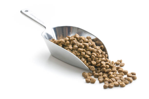 istock Dried food for animals 941926788