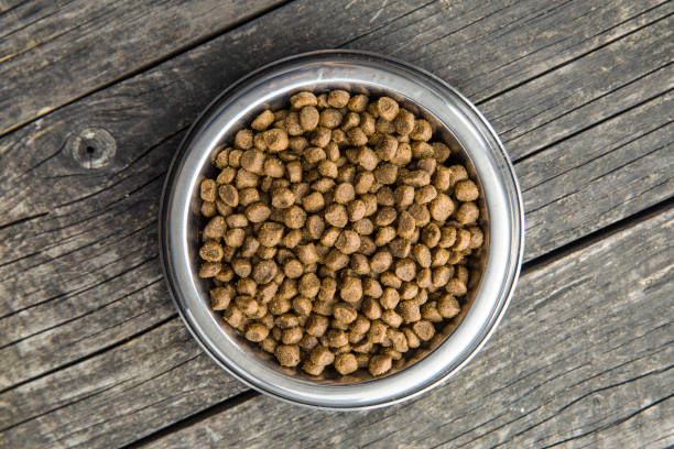 istock Dried food for animals 941928982