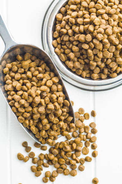 istock Dried food for animals 941931072