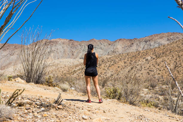 istock Woman Exploring Anza Borrego Desert II 941931498