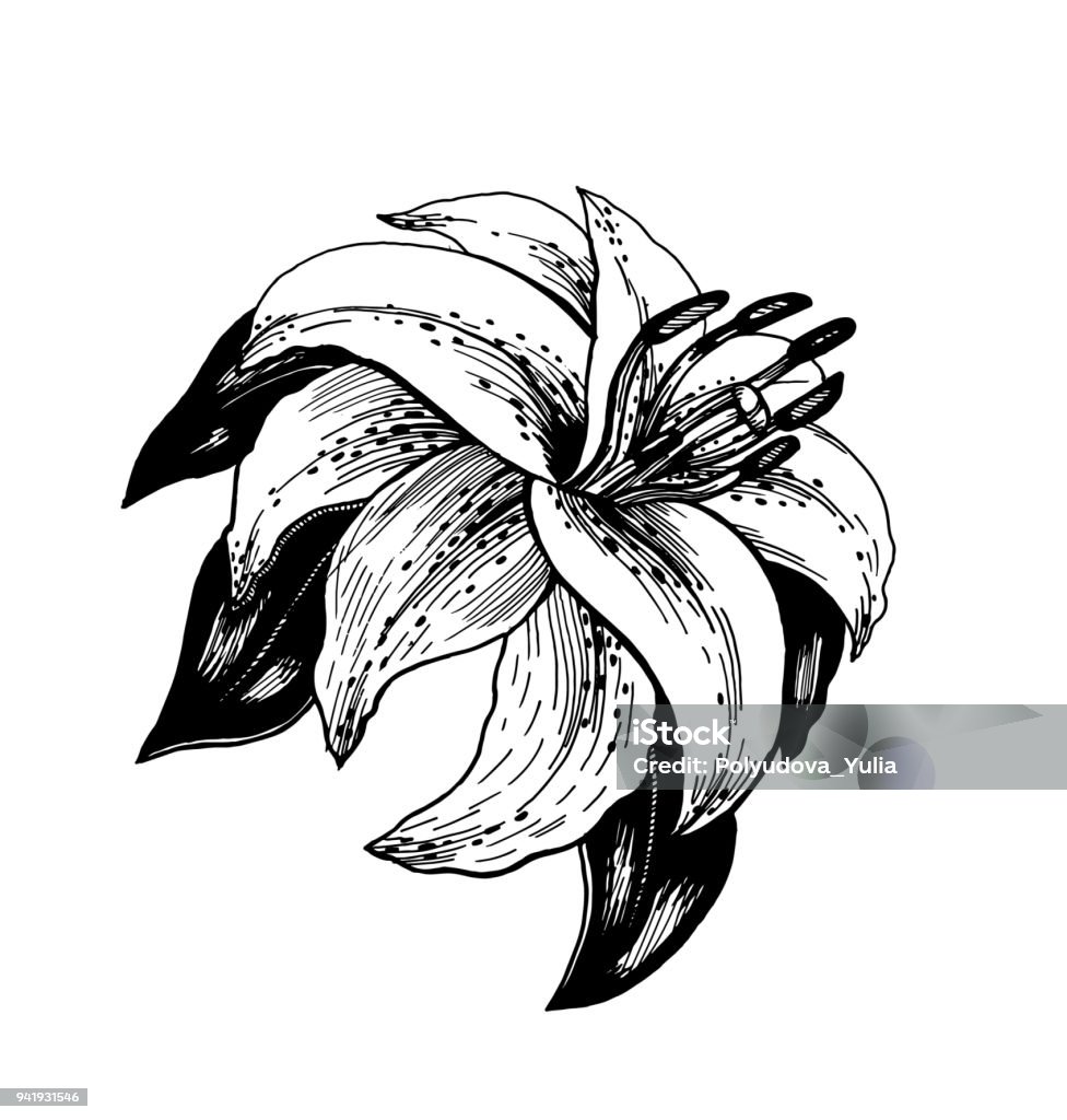 Ilustración de Dibujo De Una Flor Con Hojas y más Vectores Libres de Derechos de Arte - Arte, Arte Decó, Belleza - iStock Ilustración de Dibujo De Una Flor Con Hojas y más Vectores Libres de Derechos de Arte - Arte, Arte Decó, Belleza - iStock