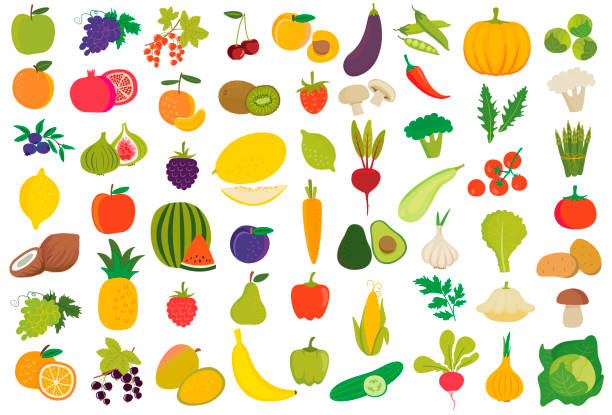 fruitsvegset Fruits and vegetables in vector set cauliflower nutrition stock illustrations