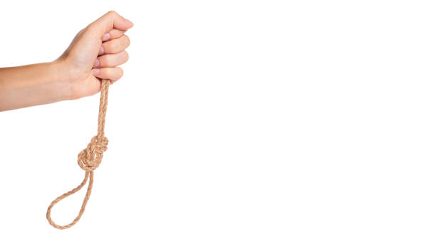 istock noose, kill rope in hand isolated on white background. copy space, template 941936346